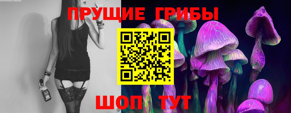 Псилоцибиновые грибы GOLDEN TEACHER Дальнегорск